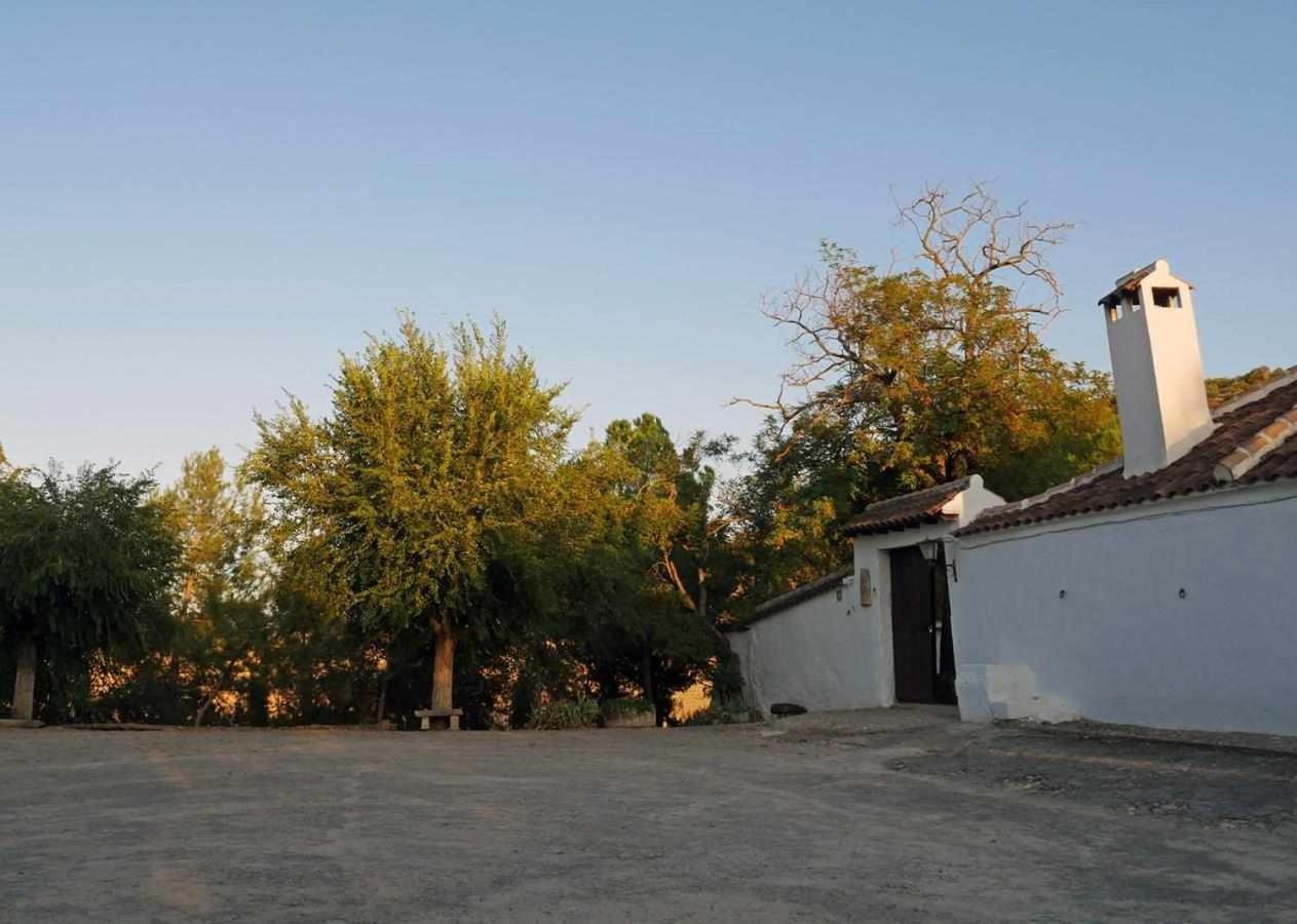 Cortijo La Gineta Guest House Alcala La Real Ngoại thất bức ảnh